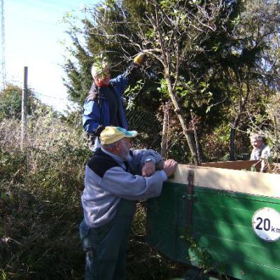 Arbeitseinsatz 2011 17 20140310 1493800884