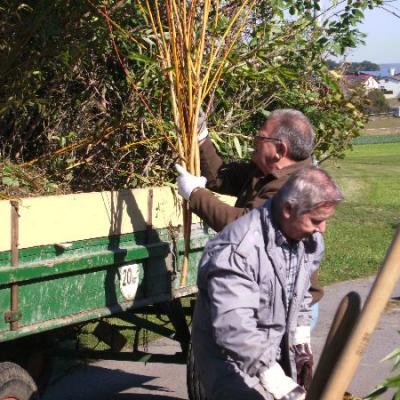 Arbeitseinsatz 2011 23 20140310 1777185397