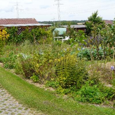 Gartenbilder 2009 1 20140310 1435718166