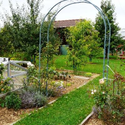 Gartenbilder 2009 12 20140310 1440336461