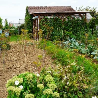 Gartenbilder 2009 16 20140310 1496841953
