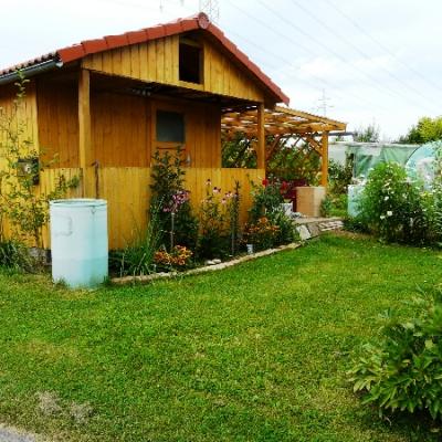 Gartenbilder 2009 17 20140310 1573953447