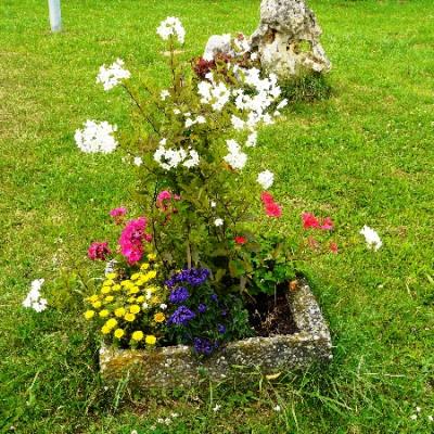 Gartenbilder 2009 18 20140310 1435850054