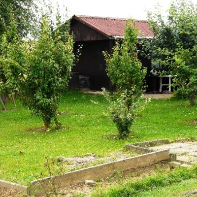 Gartenbilder 2009 21 20140310 2037773294