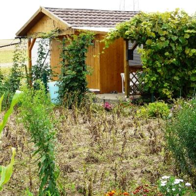 Gartenbilder 2009 23 20140310 1884890588