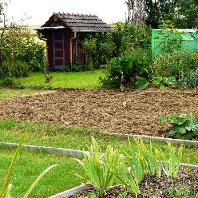 Gartenbilder 2009 24 20140310 1366242730