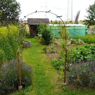 Gartenbilder 2009 25 20140310 1326810114
