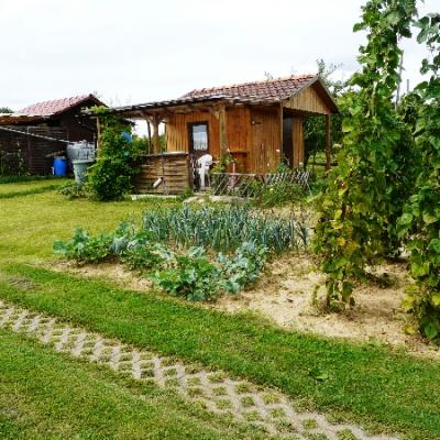 Gartenbilder 2009 27 20140310 1760975569