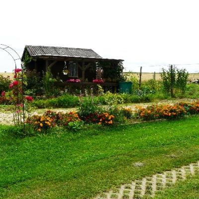 Gartenbilder 2009 28 20140310 1626057805