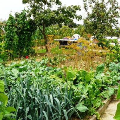 Gartenbilder 2009 30 20140310 1037157336