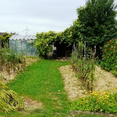 Gartenbilder 2009 33 20140310 1709208333