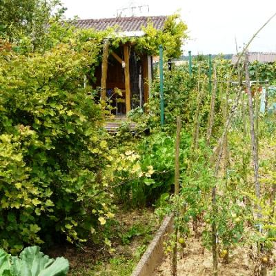 Gartenbilder 2009 34 20140310 1809962733