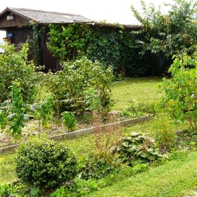 Gartenbilder 2009 36 20140310 1141803985