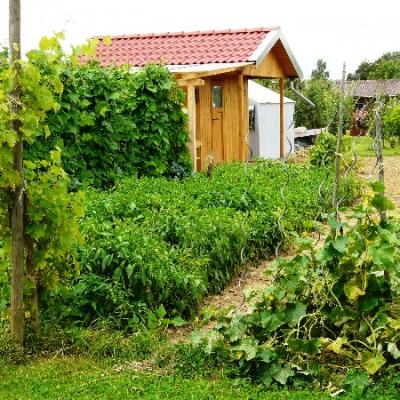 Gartenbilder 2009 38 20140310 1188598977