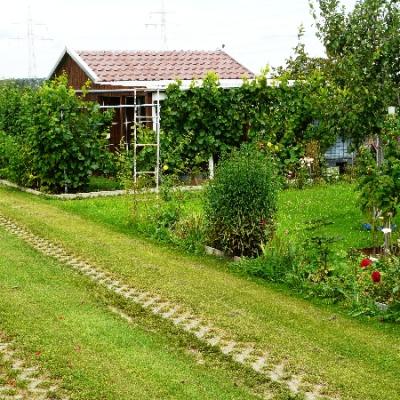 Gartenbilder 2009 39 20140310 1621367474