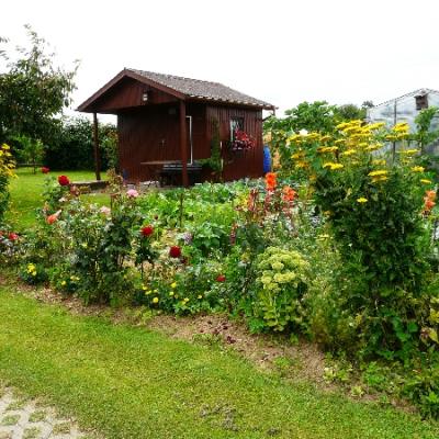 Gartenbilder 2009 43 20140310 1368017585