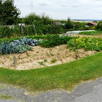 Gartenbilder 2009 45 20140310 1050868826