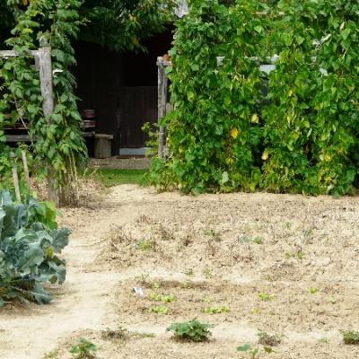 Gartenbilder 2009 46 20140310 1703467983