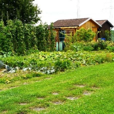 Gartenbilder 2009 51 20140310 2087527650