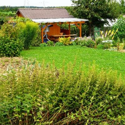 Gartenbilder 2009 52 20140310 1784898000