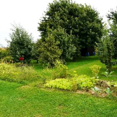 Gartenbilder 2009 54 20140310 1142109003