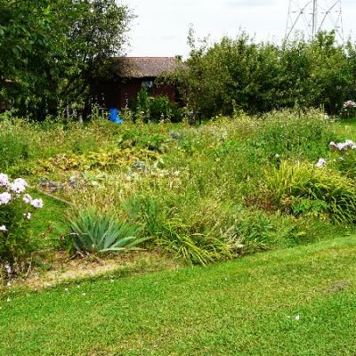 Gartenbilder 2009 56 20140310 1076409950