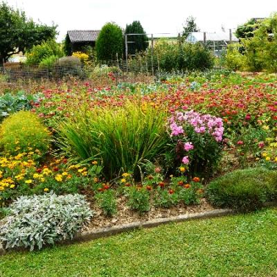 Gartenbilder 2009 58 20140310 1833485204