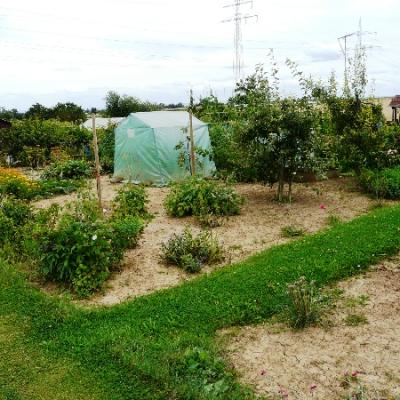 Gartenbilder 2009 6 20140310 1173918909