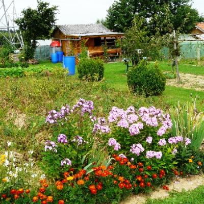 Gartenbilder 2009 60 20140310 1077964345