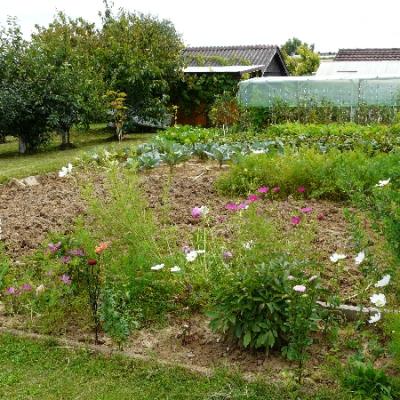 Gartenbilder 2009 62 20140310 2045454450