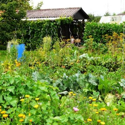 Gartenbilder 2009 65 20140310 1576222684