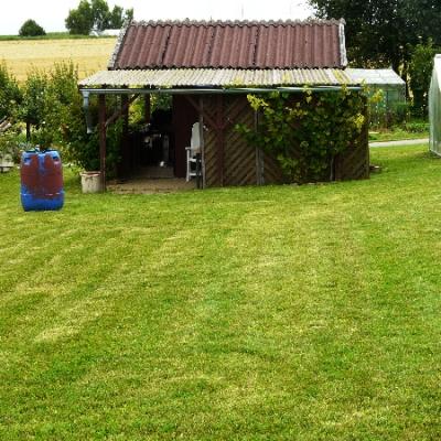 Gartenbilder 2009 67 20140310 1106216266