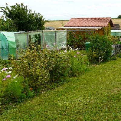 Gartenbilder 2009 68 20140310 1219449320