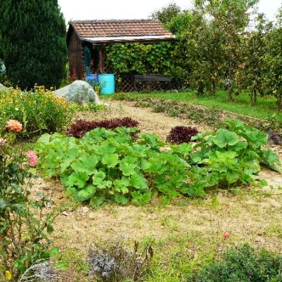 Gartenbilder 2009 69 20140310 1319512518