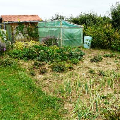 Gartenbilder 2009 70 20140310 1810930826