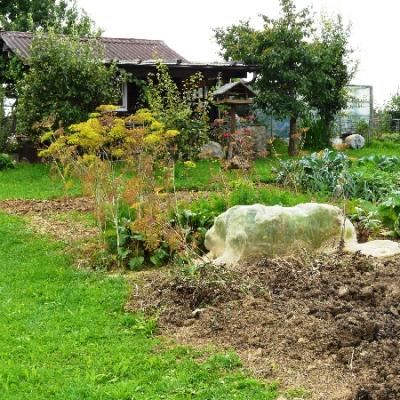 Gartenbilder 2009 77 20140310 1962426769