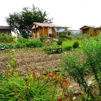 Gartenbilder 2009 80 20140310 1435946275