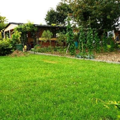 Gartenbilder 2009 82 20140310 1032955157
