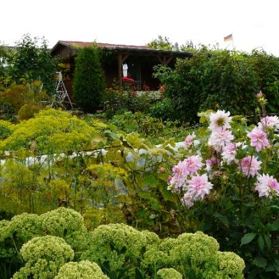 Gartenbilder 2009 83 20140310 1333219172