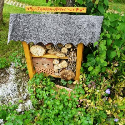 Gartenbilder 2009 87 20140310 2033019060