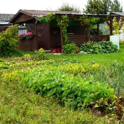 Gartenbilder 2009 88 20140310 1527367449