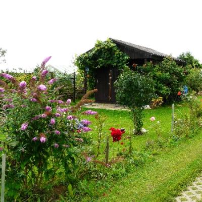 Gartenbilder 2009 9 20140310 1534396628
