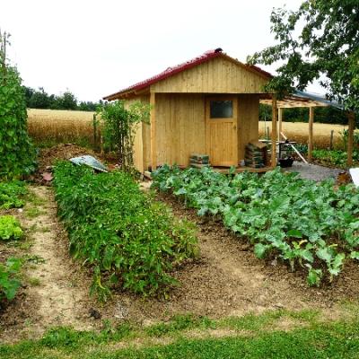 Gartenbilder 2009 90 20140310 1793134269