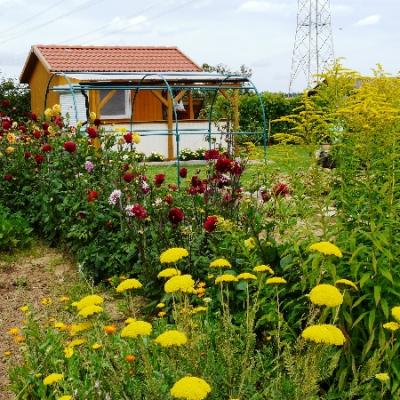 2009 Gartenbilder